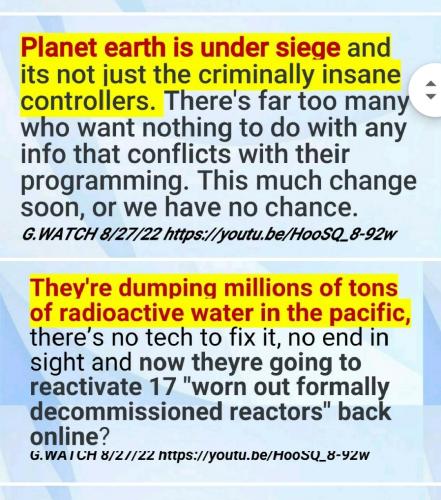 Screenshot_2022-08-30-13-56-08-856_com.google.android.apps.photos