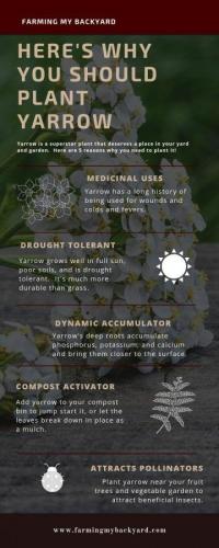 20:34:44 GMT-0500 (CDT)