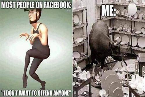 FB_IMG_1660935242455