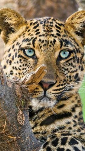 tumblr_b338839b2ddb8abe85641764aec7c045_025f9d46_640