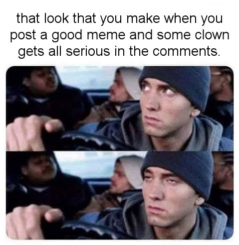 that look that you make when you post a good meme and some idiot gets all serious in the comments