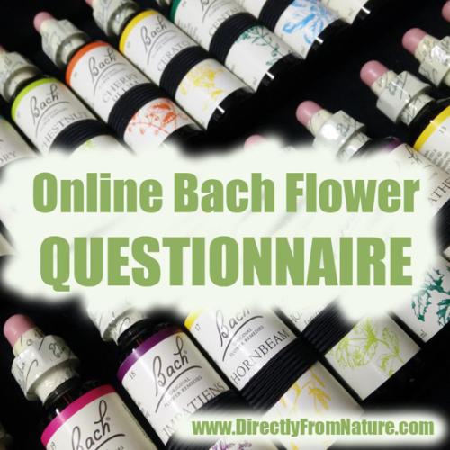 Online FREE Bach Flower Questionnaire 191217 5x5x100