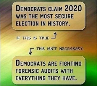 voterfraud335