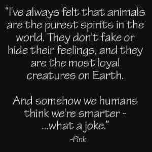 FB_IMG_1659679898616