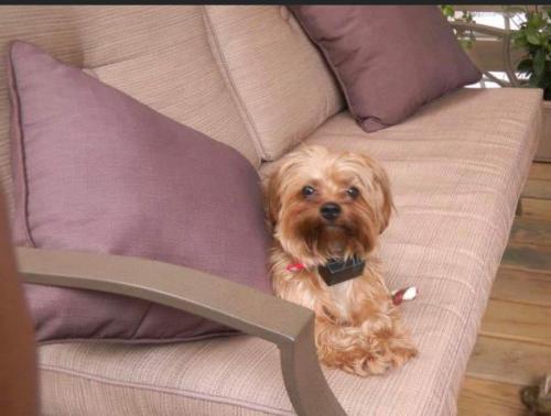 FB_IMG_1661587179897