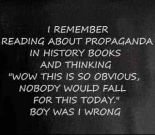 Screenshot_20220806-201610_Facebook