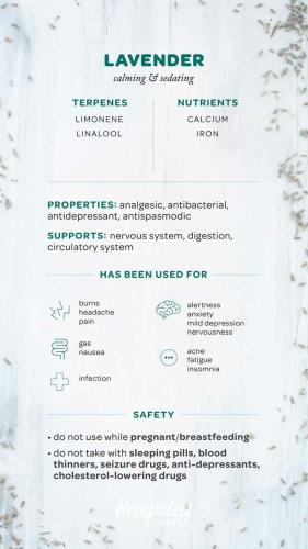 20:04:17 GMT-0500 (CDT)