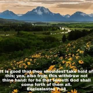 FB_IMG_1658226876669