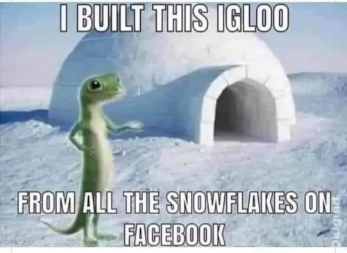 FB_IMG_1661198248814