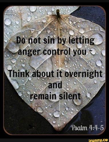 b4276223933a161f949e9340f2275ece209ff4402094c5ce4cf72ed4decb5644_1