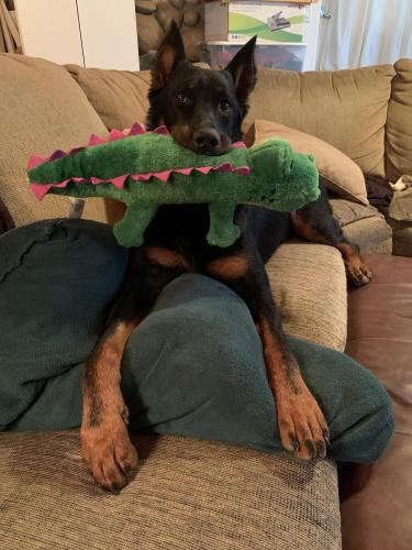 22:42:22 GMT-0700 (PDT).image