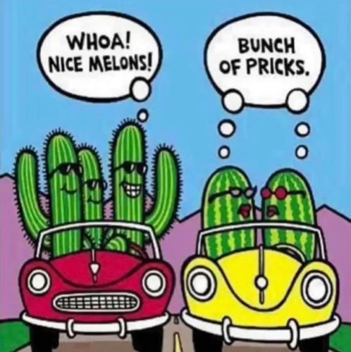 298229220_10223224604496989_2538589196965798674_n