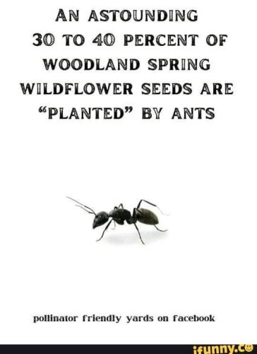 46113701-7e35-44cc-bef0-4be73060cdeb