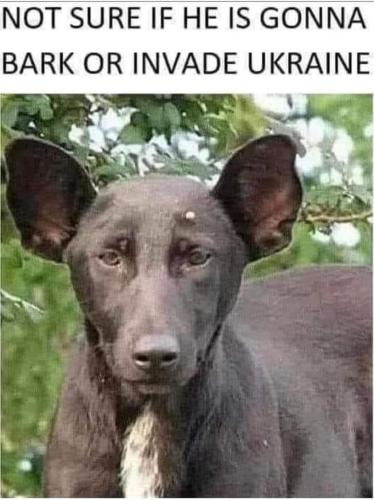 FB_IMG_1661803353009