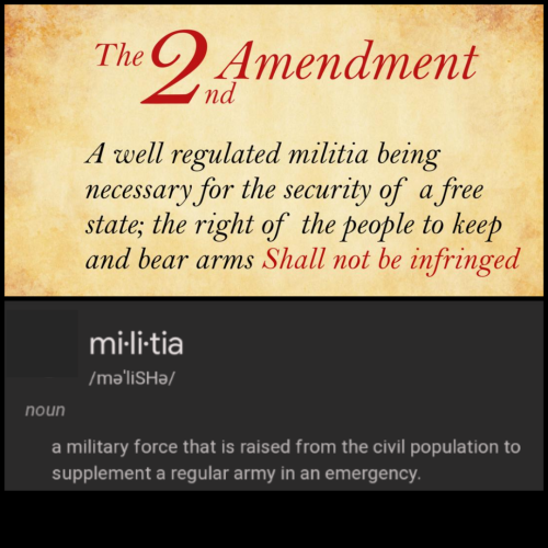 Second Amendment meaning