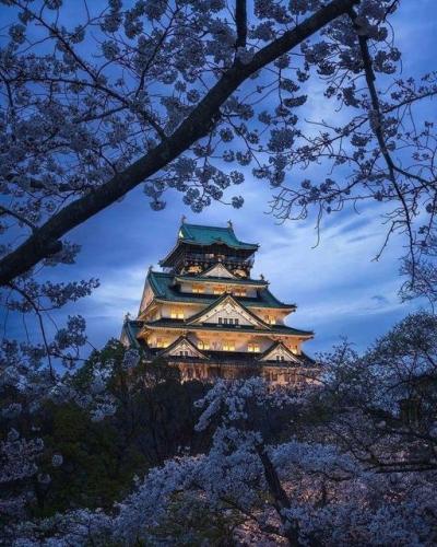 298181307_196983529349097_4218548911067709486_n