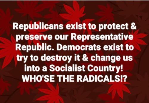radical dems me