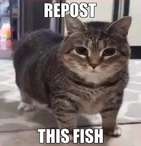 16:26:27 GMT-0400 (EDT).image