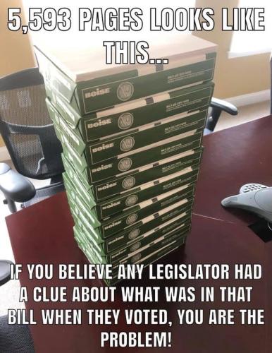 133709439_10219043657497826_9072568423421655543_n