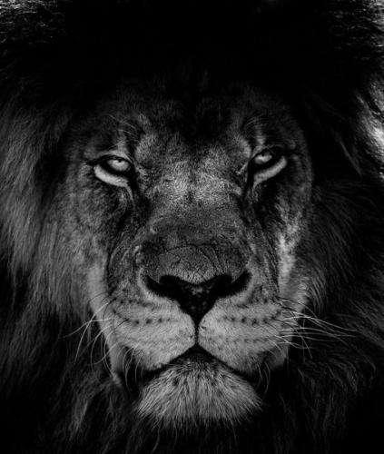 297749945_8136947752989761_6152350516524046964_n