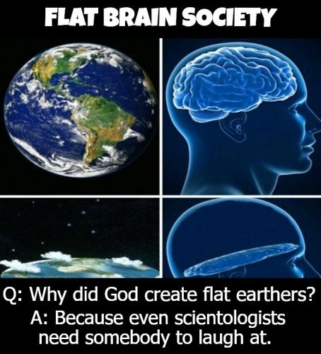 flat brain society