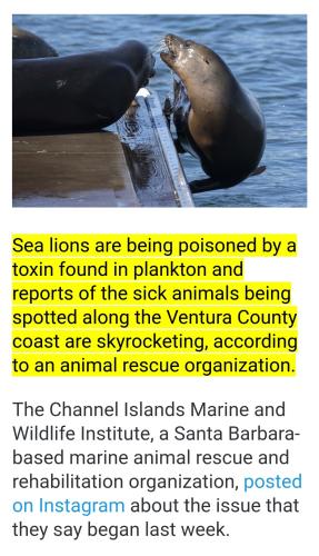 Screenshot_2022-08-29-13-17-48-972_com.android.chrome~2