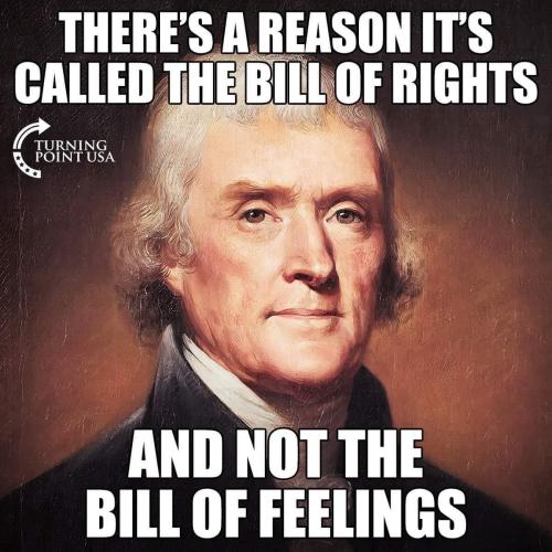 Bill of Rights 1
