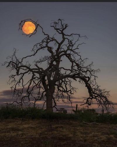 image_9AE51813-4150-473C-9378-DB0CBFAFACF0