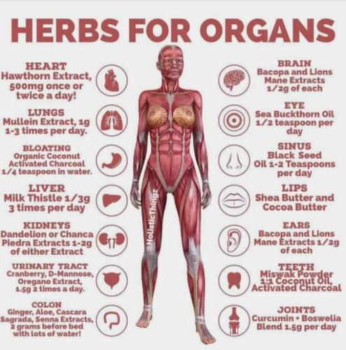 FB_IMG_1653989643526