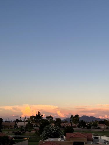 8d7995f8-c88a-4c0d-8e1b-92a990c88ed4