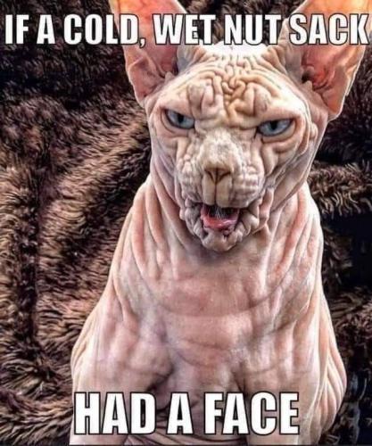 FB_IMG_1660666596522