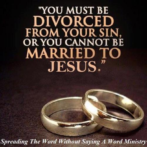 12243418_954688924613239_5364238510293894042_n