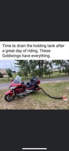 FB_IMG_1660140341217