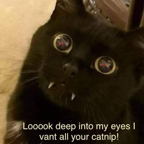 FB_IMG_1660934784071