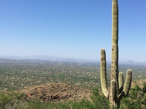 vHXTmnIJRFC8IPu5G1VPoA