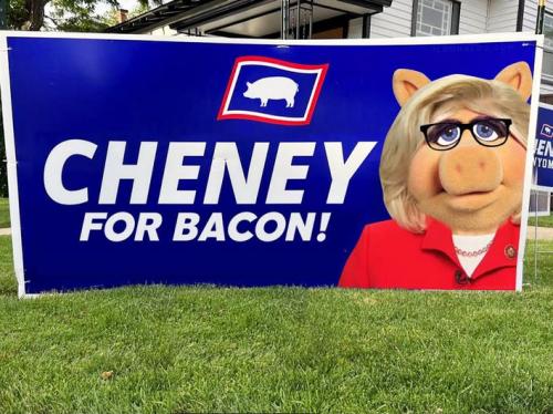 liz cheney03