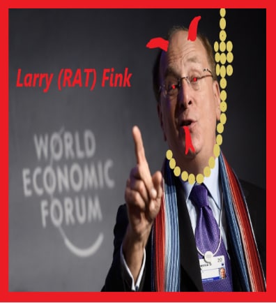 photo_2022-08-09_16-26-14