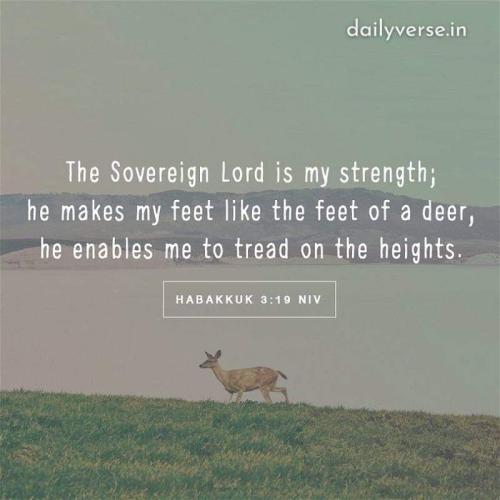 08:52:52 GMT-0400 (EDT)