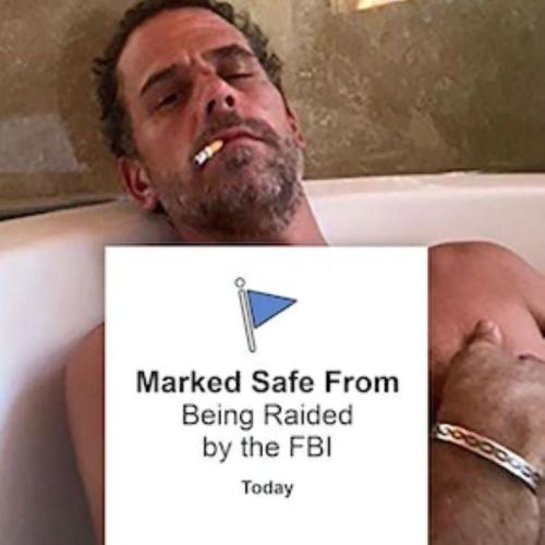 Hunter Biden Safe (1)
