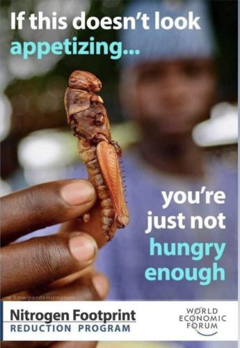 photo_2022-08-24_12-44-42