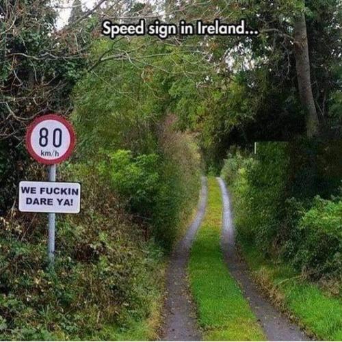 299474309_5202727583169584_4806895975858977788_n