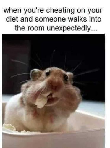 FB_IMG_1661108265531