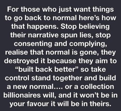 Normal 1