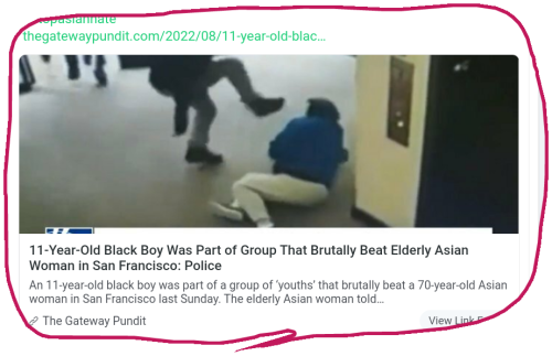 snapshot_gab.com_1659823485526