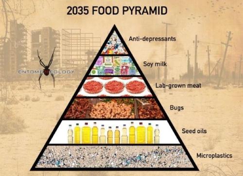 foodpyramid