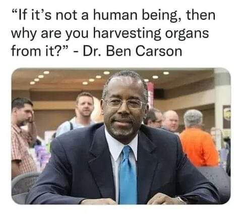 FB_IMG_1659899575906