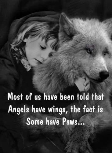 FB_IMG_1659553148782