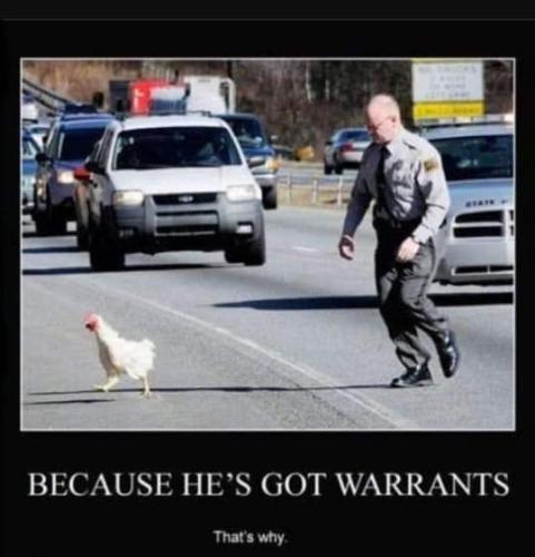 FB_IMG_1660149086704