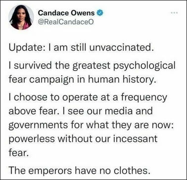 candace owens61