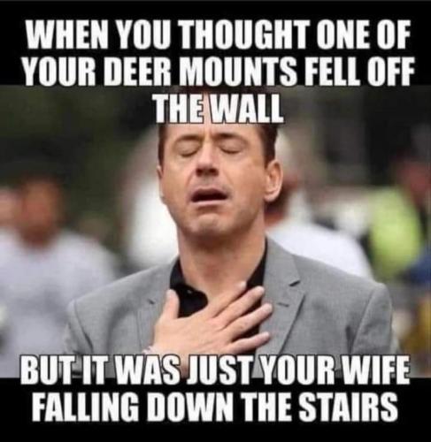 FB_IMG_1661042617641